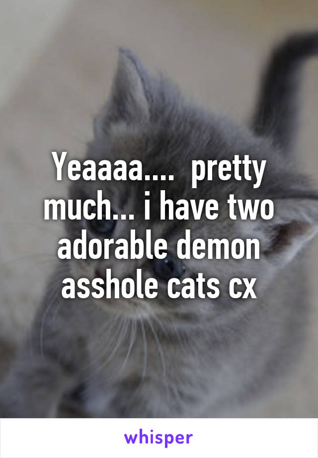 Yeaaaa....  pretty much... i have two adorable demon asshole cats cx