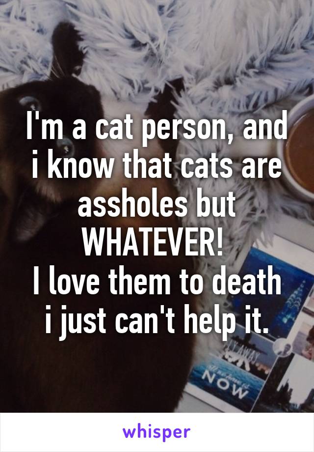 I'm a cat person, and i know that cats are assholes but WHATEVER! 
I love them to death i just can't help it.