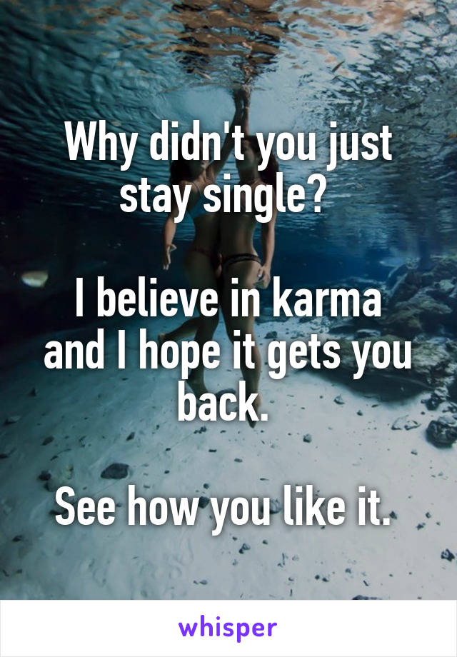 Why didn't you just stay single? 

I believe in karma and I hope it gets you back. 

See how you like it. 