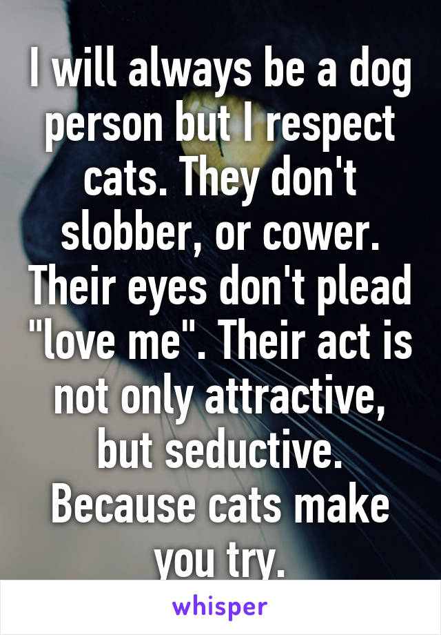 I will always be a dog person but I respect cats. They don't slobber, or cower. Their eyes don't plead "love me". Their act is not only attractive, but seductive. Because cats make you try.