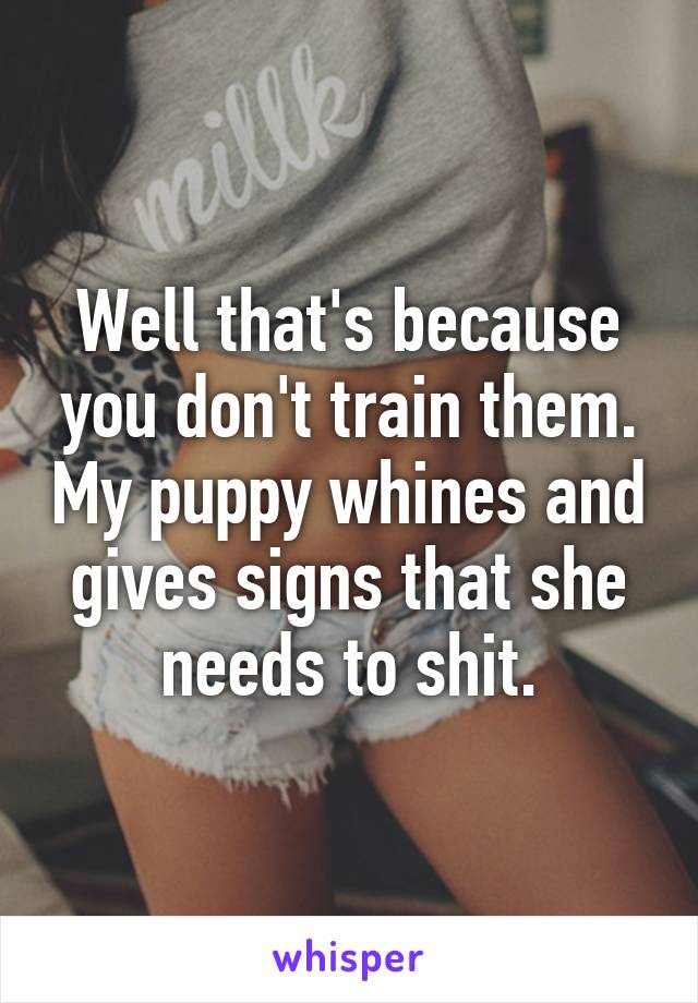 Well that's because you don't train them. My puppy whines and gives signs that she needs to shit.