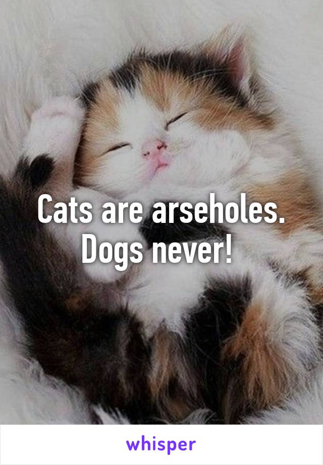 Cats are arseholes. Dogs never! 