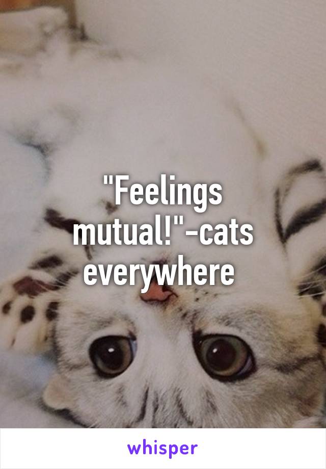 "Feelings mutual!"-cats everywhere 