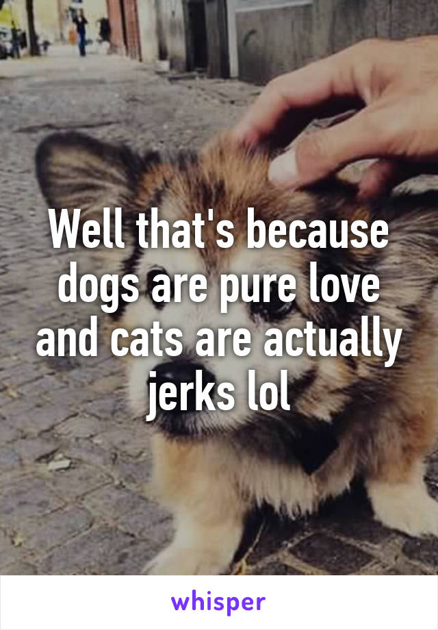 Well that's because dogs are pure love and cats are actually jerks lol