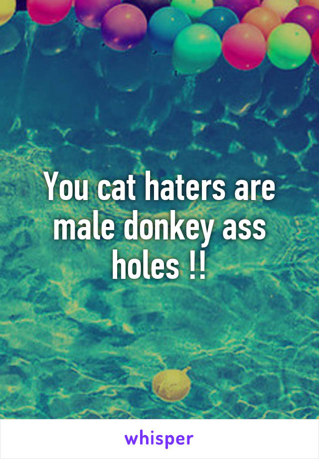 You cat haters are male donkey ass holes !!