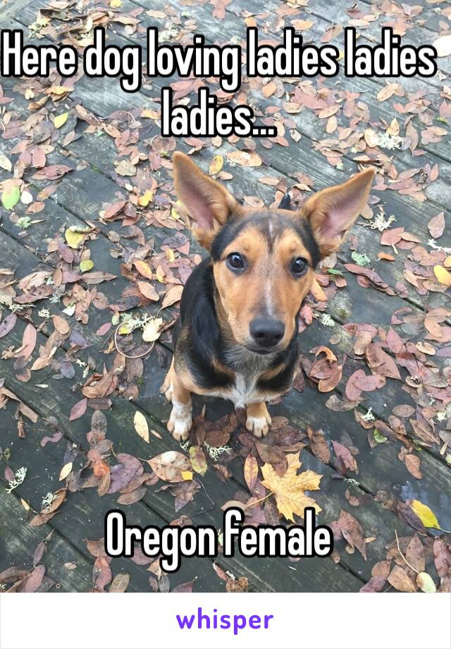 Here dog loving ladies ladies ladies...






Oregon female