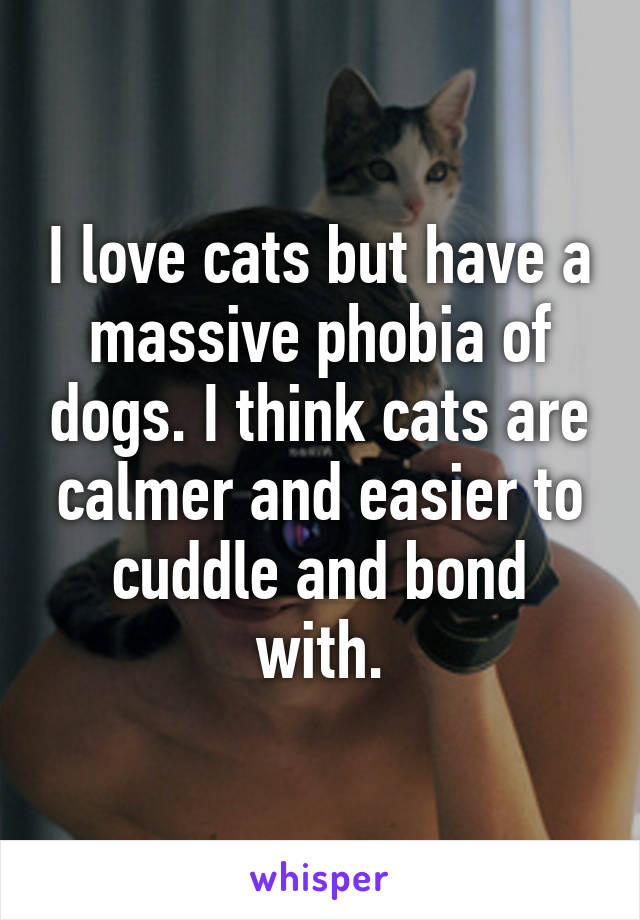 I love cats but have a massive phobia of dogs. I think cats are calmer and easier to cuddle and bond with.