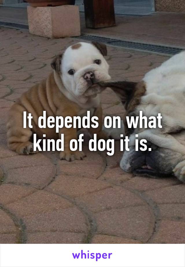 It depends on what kind of dog it is.