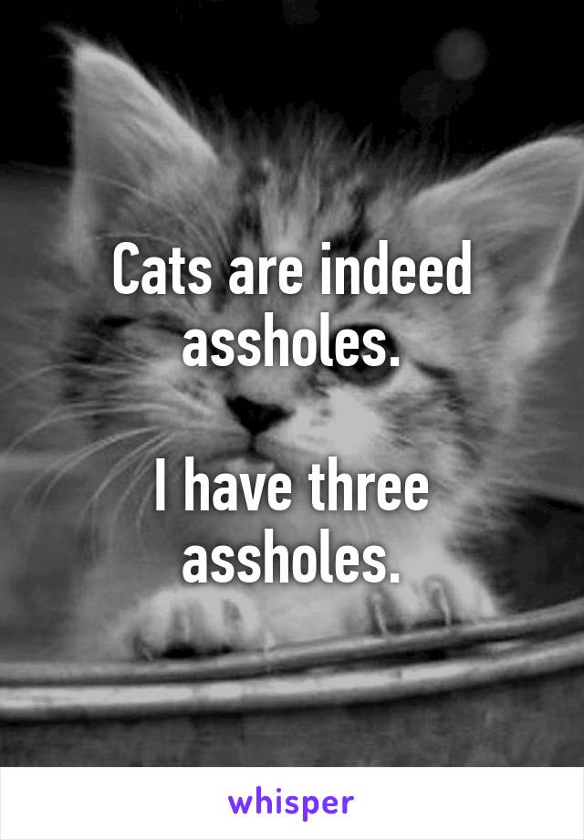 Cats are indeed assholes.

I have three assholes.