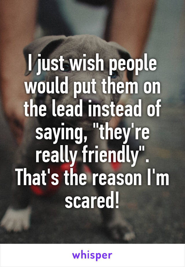 I just wish people would put them on the lead instead of saying, "they're really friendly". That's the reason I'm scared!