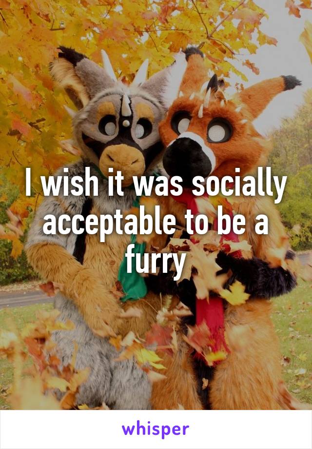 I wish it was socially acceptable to be a furry