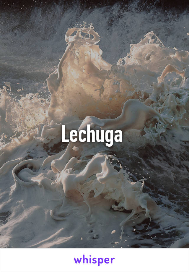Lechuga 