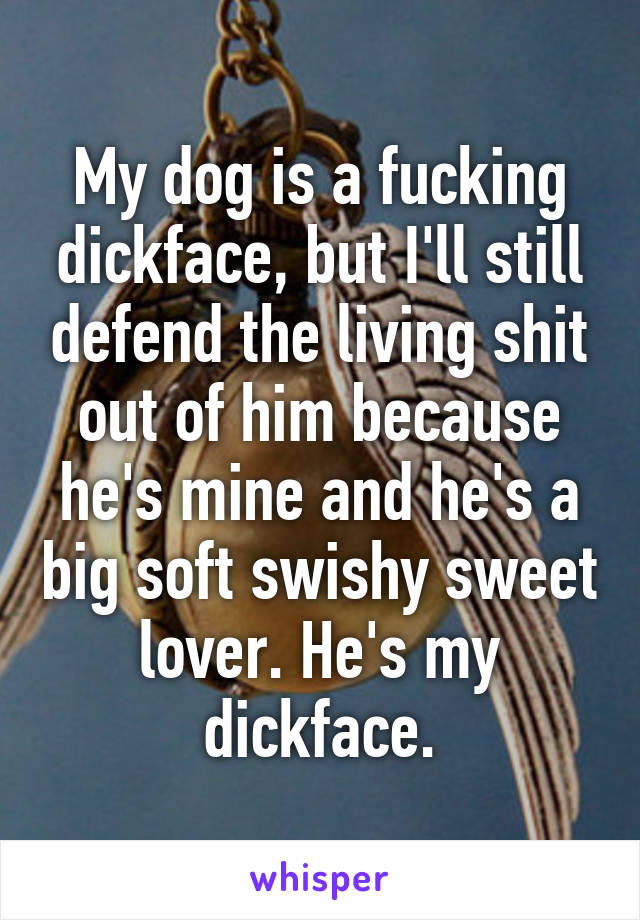 My dog is a fucking dickface, but I'll still defend the living shit out of him because he's mine and he's a big soft swishy sweet lover. He's my dickface.