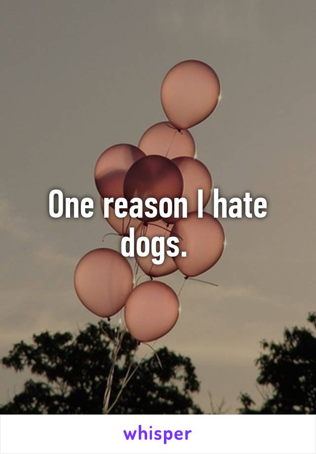 One reason I hate dogs. 