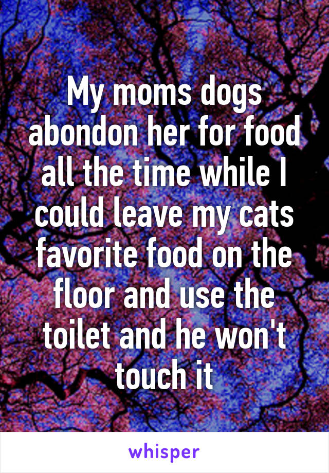 My moms dogs abondon her for food all the time while I could leave my cats favorite food on the floor and use the toilet and he won't touch it