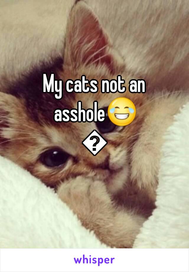 My cats not an asshole😂😂