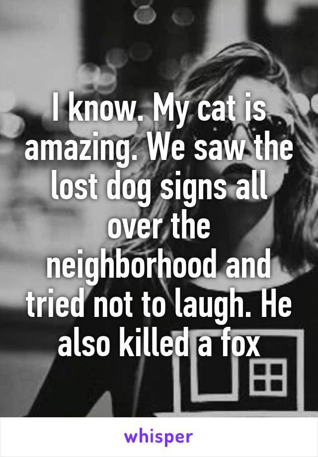 I know. My cat is amazing. We saw the lost dog signs all over the neighborhood and tried not to laugh. He also killed a fox