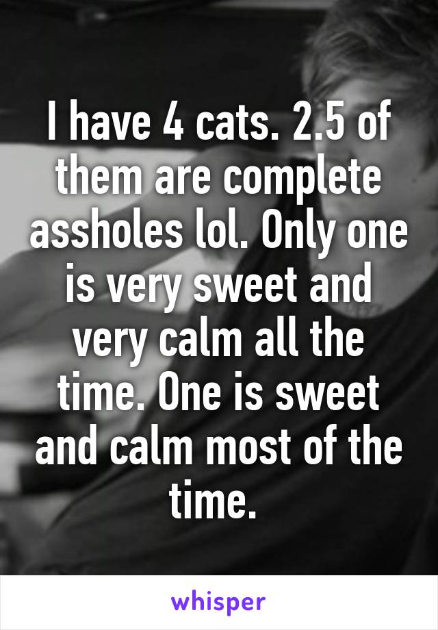 I have 4 cats. 2.5 of them are complete assholes lol. Only one is very sweet and very calm all the time. One is sweet and calm most of the time. 