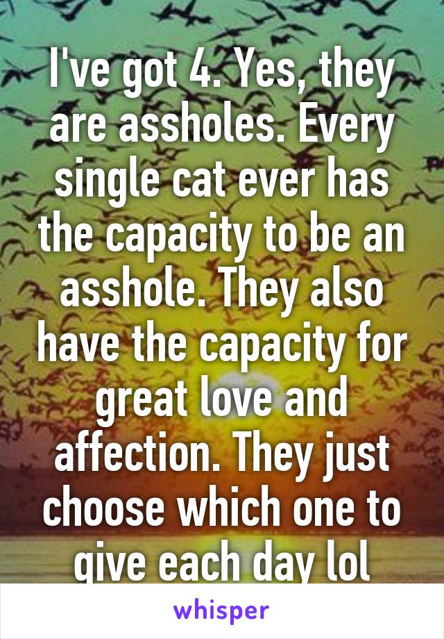 I've got 4. Yes, they are assholes. Every single cat ever has the capacity to be an asshole. They also have the capacity for great love and affection. They just choose which one to give each day lol