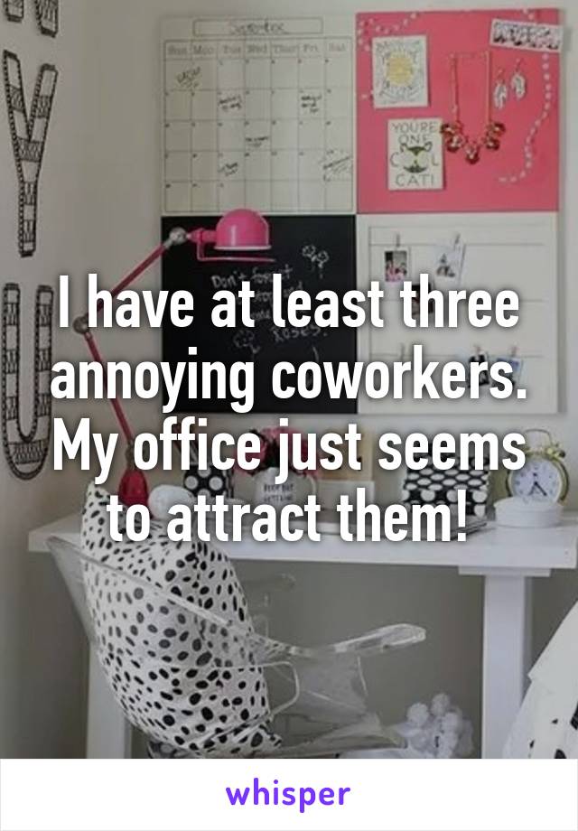 I have at least three annoying coworkers. My office just seems to attract them!