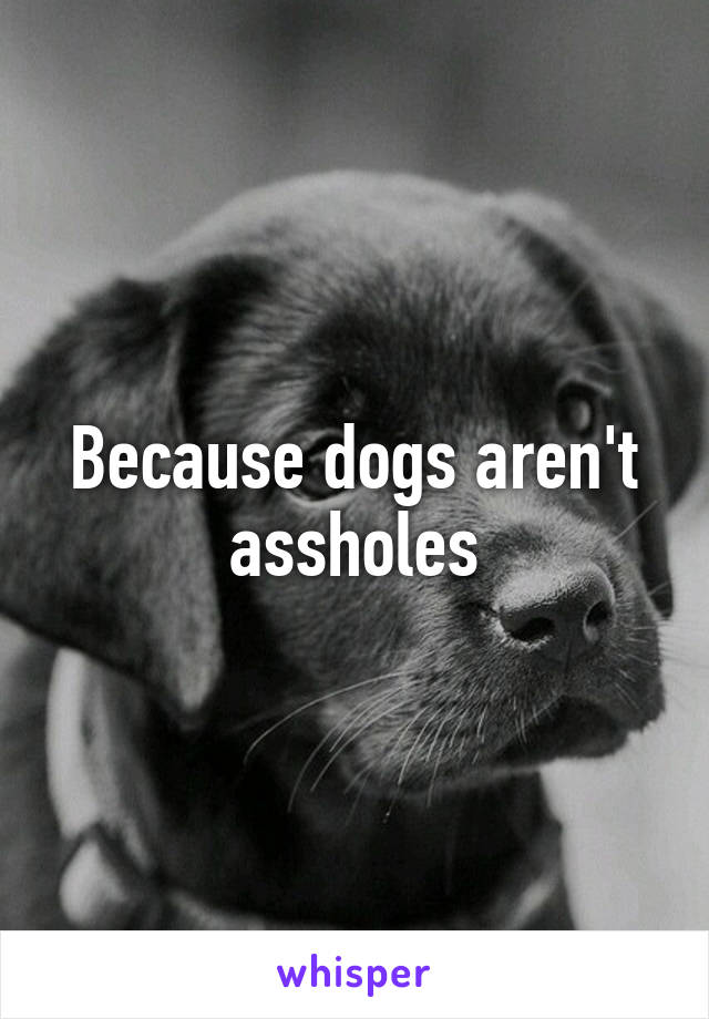 Because dogs aren't assholes