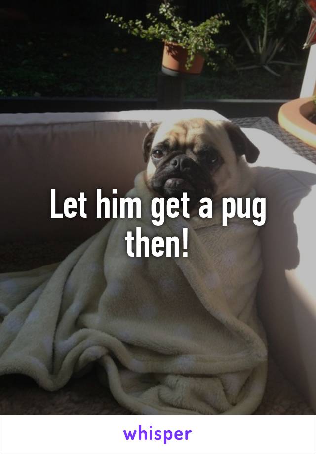 Let him get a pug then!