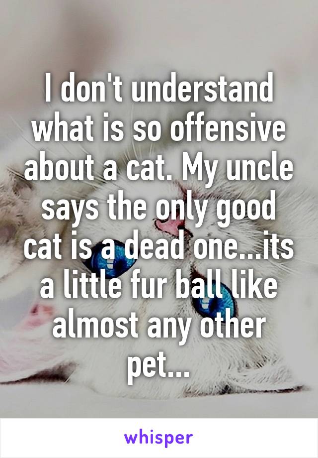 I don't understand what is so offensive about a cat. My uncle says the only good cat is a dead one...its a little fur ball like almost any other pet...