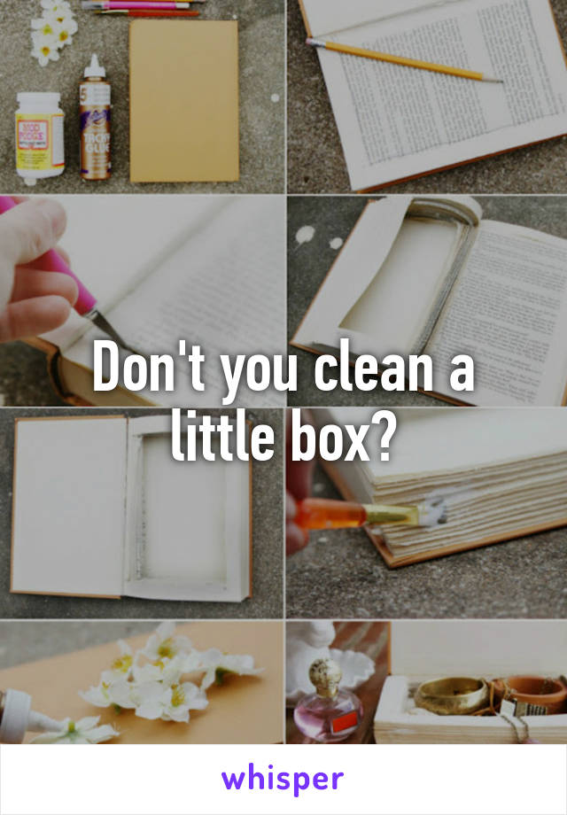 Don't you clean a little box?