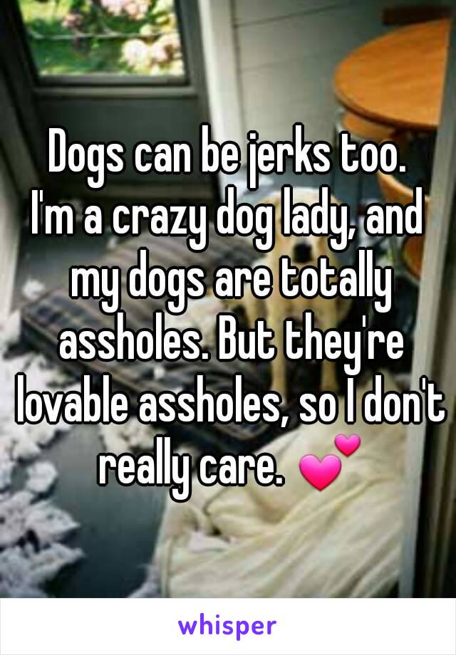 Dogs can be jerks too.
I'm a crazy dog lady, and my dogs are totally assholes. But they're lovable assholes, so I don't really care. 💕