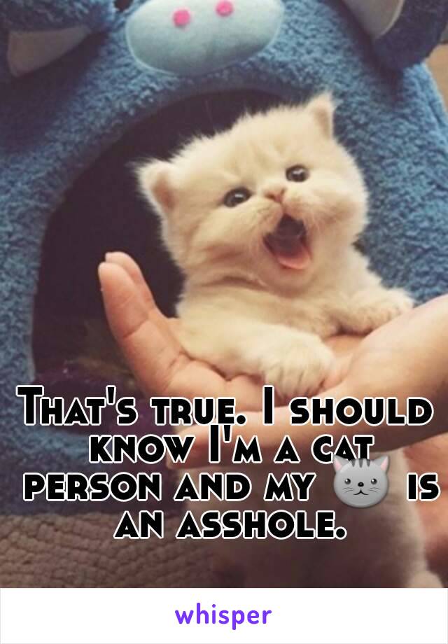 That's true. I should know I'm a cat person and my 🐱 is an asshole.