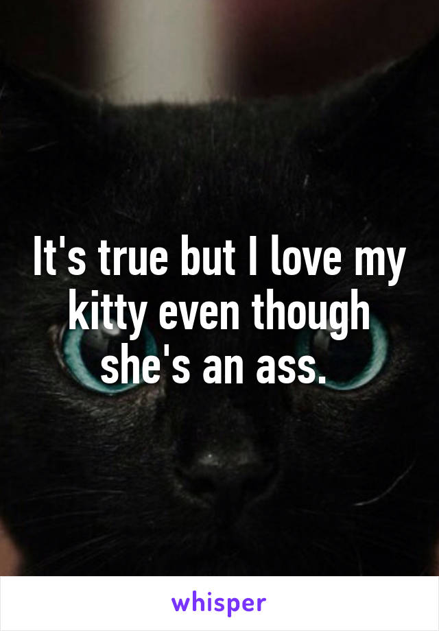 It's true but I love my kitty even though she's an ass. 