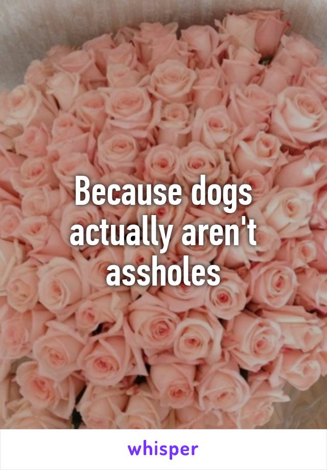 Because dogs actually aren't assholes