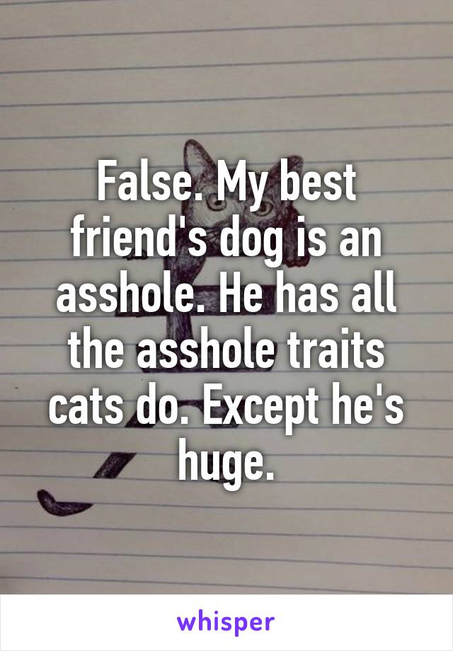 False. My best friend's dog is an asshole. He has all the asshole traits cats do. Except he's huge.