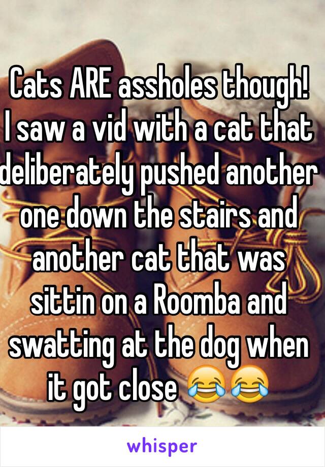 Cats ARE assholes though! 
I saw a vid with a cat that deliberately pushed another one down the stairs and another cat that was sittin on a Roomba and swatting at the dog when it got close 😂😂