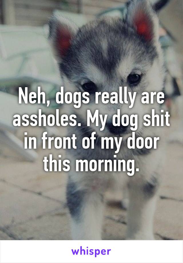 Neh, dogs really are assholes. My dog shit in front of my door this morning.