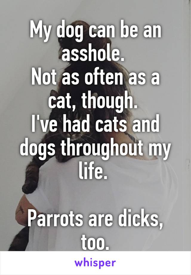 My dog can be an asshole. 
Not as often as a cat, though. 
I've had cats and dogs throughout my life. 

Parrots are dicks, too.