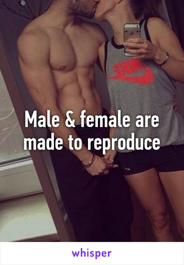 Male & female are made to reproduce