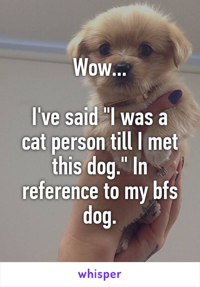 Wow...

I've said "I was a cat person till I met this dog." In reference to my bfs dog.