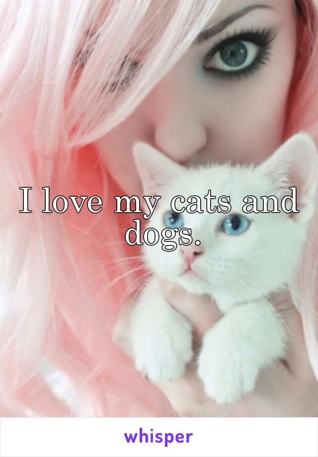 I love my cats and dogs.