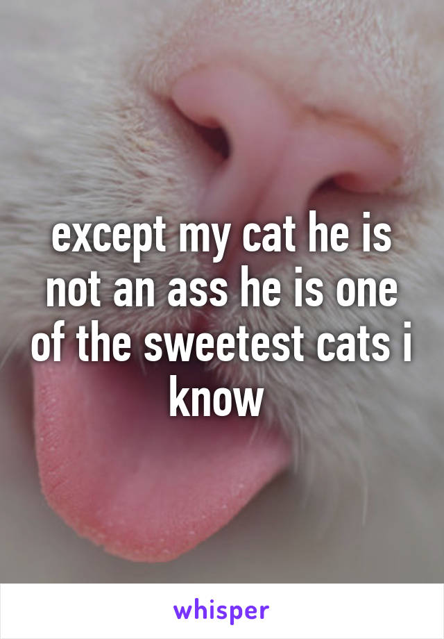 except my cat he is not an ass he is one of the sweetest cats i know 