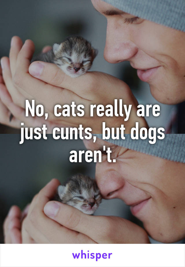 No, cats really are just cunts, but dogs aren't.