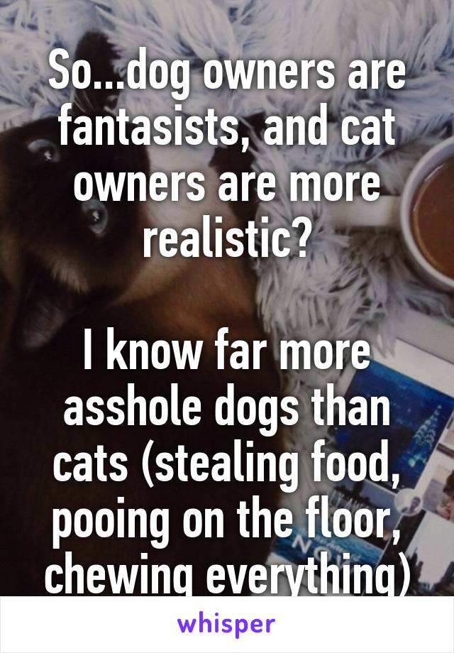 So...dog owners are fantasists, and cat owners are more realistic?

I know far more asshole dogs than cats (stealing food, pooing on the floor, chewing everything)