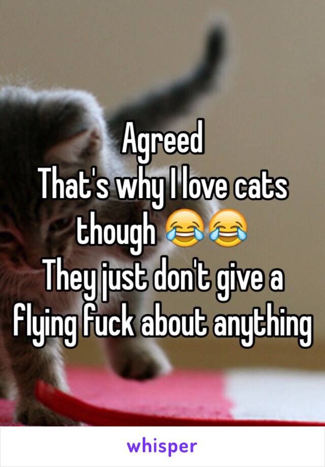 Agreed 
That's why I love cats though 😂😂
They just don't give a flying fuck about anything 