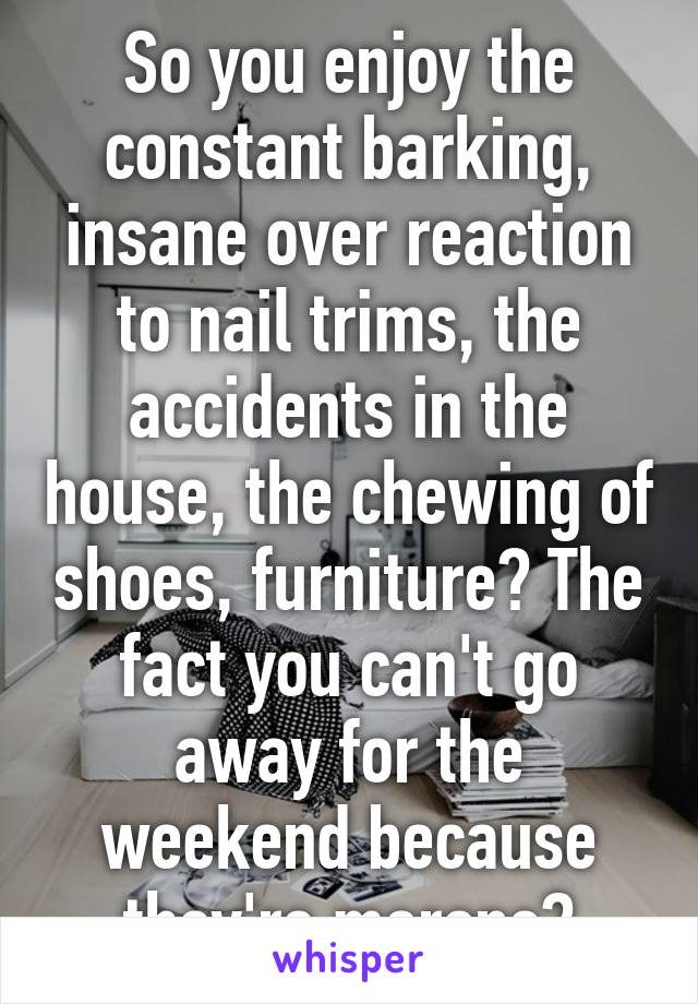 So you enjoy the constant barking, insane over reaction to nail trims, the accidents in the house, the chewing of shoes, furniture? The fact you can't go away for the weekend because they're morons?