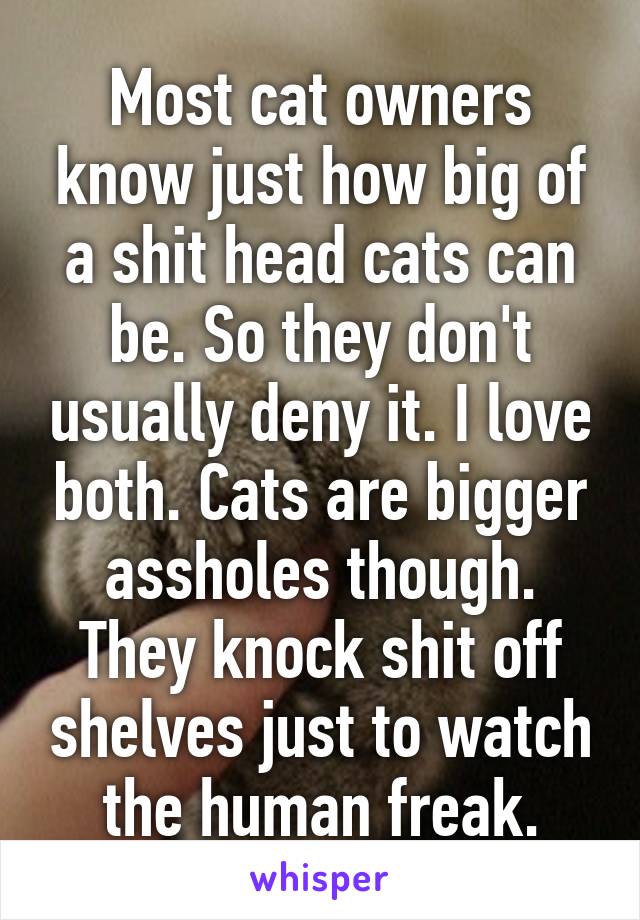 Most cat owners know just how big of a shit head cats can be. So they don't usually deny it. I love both. Cats are bigger assholes though. They knock shit off shelves just to watch the human freak.