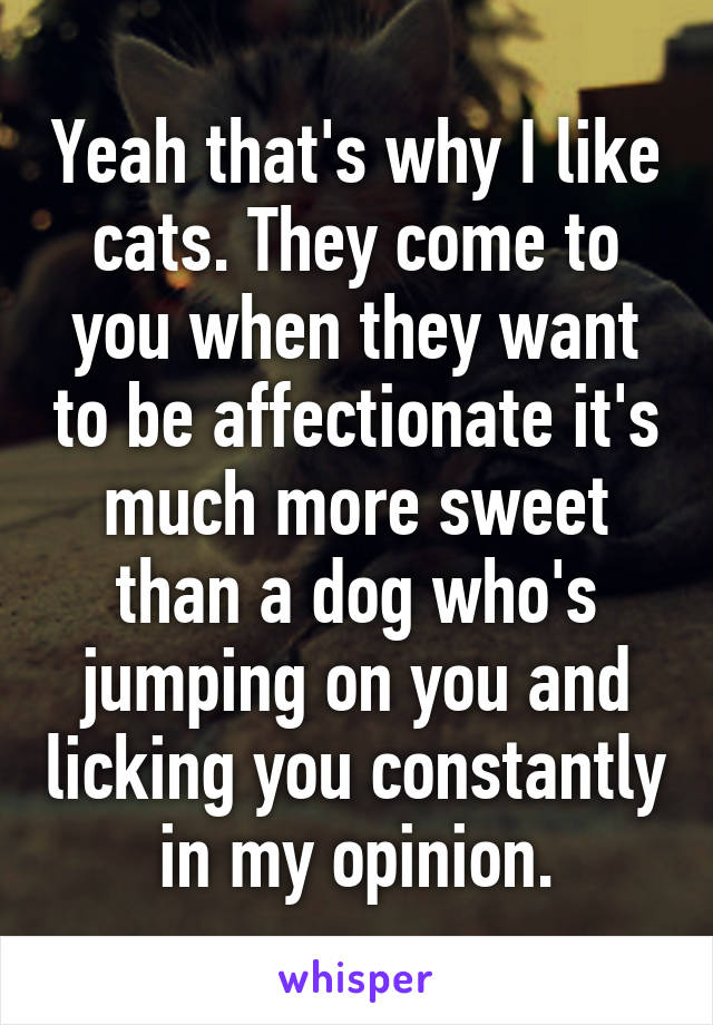 Yeah that's why I like cats. They come to you when they want to be affectionate it's much more sweet than a dog who's jumping on you and licking you constantly in my opinion.