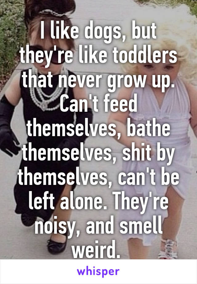 I like dogs, but they're like toddlers that never grow up. Can't feed themselves, bathe themselves, shit by themselves, can't be left alone. They're noisy, and smell weird. 