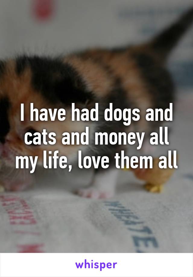 I have had dogs and cats and money all my life, love them all