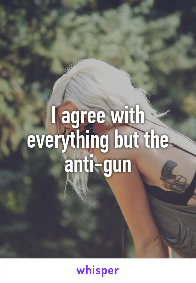 I agree with everything but the anti-gun