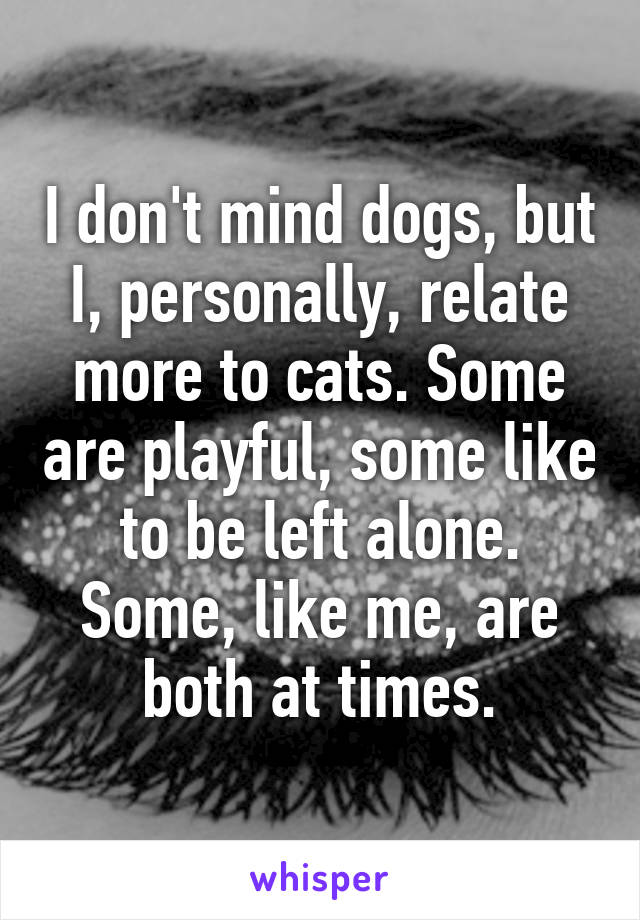 I don't mind dogs, but I, personally, relate more to cats. Some are playful, some like to be left alone. Some, like me, are both at times.